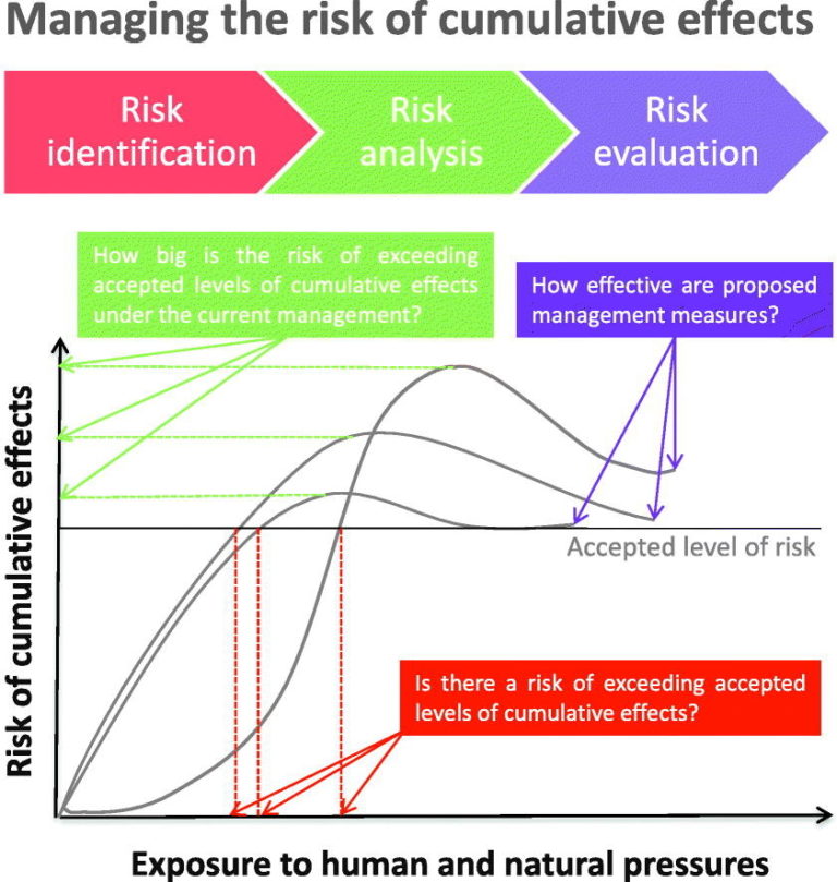 New paper: A risk-based approach to cumulative effect assessments for ...